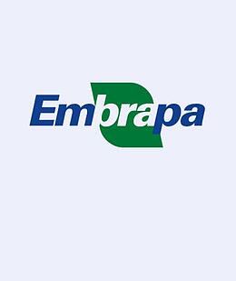 Projeto de recuperação de dados realizado para a EMBRAPA
